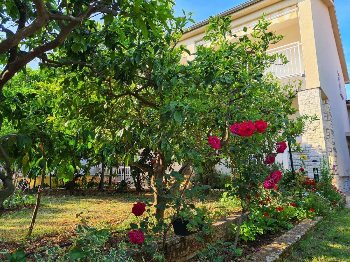 Apartments Ana เมดูลิน ภายนอก รูปภาพ